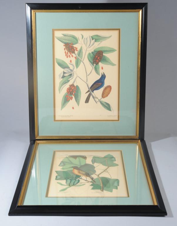 Two Antique Hand Colored Mark Catesby Engravings: "The Baltimore Bird" and "The Blew Grofbeak", both beautifully hand colored on wove paper, probably 19th century, matted and framed, not examined out of frame.Visible image: approx. 14 3/4" x 10 1/4".