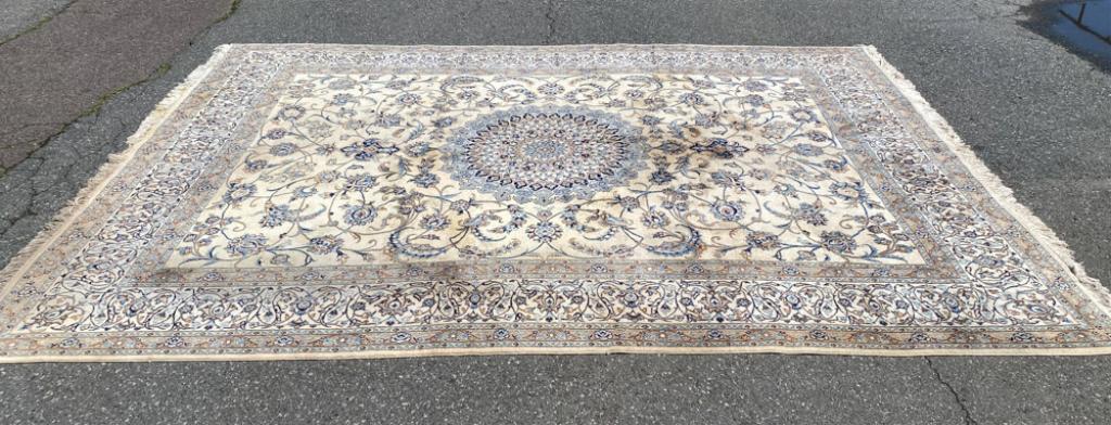 Persian Nain (1 of 4)