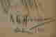 item-133749248=4