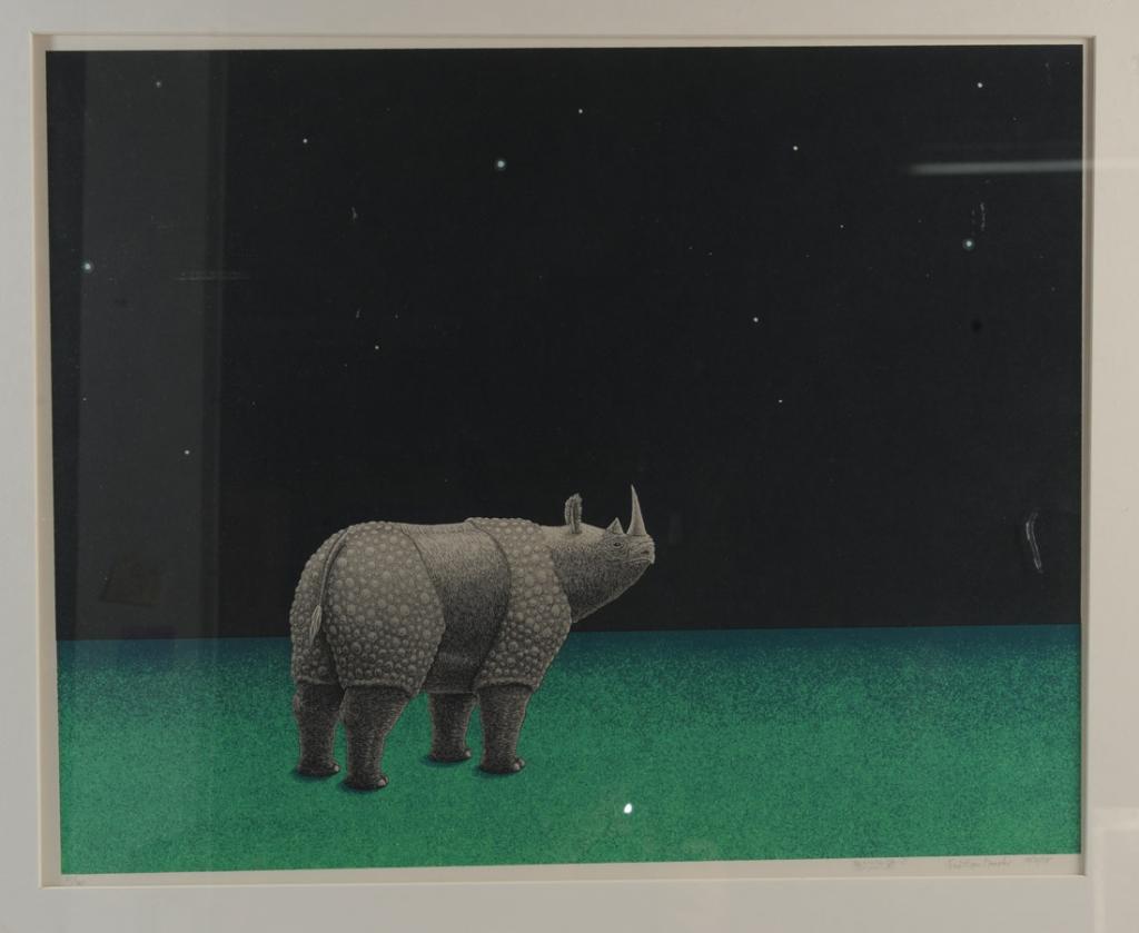 Jonathon Meader (Ascian) Serigraph: Silk screen (serigraph) in vibrant color showing a rhinoceros under the night sky. Pencil signed "Ascian" lower right, numbered 21/160 by Jonathon Meader (American, born 1946.) Meader's rich colors ar
