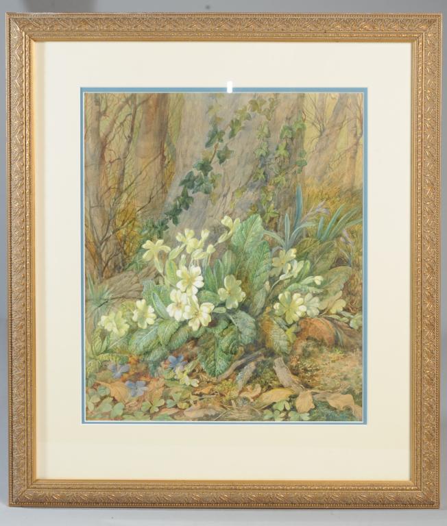 Mary Harrison ? (1788 - 1875) Botanical Painting (1 of 3)