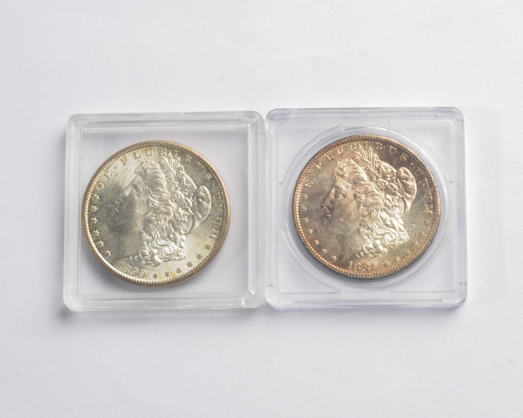 Two Morgan Silver Dollars (1 of 2)