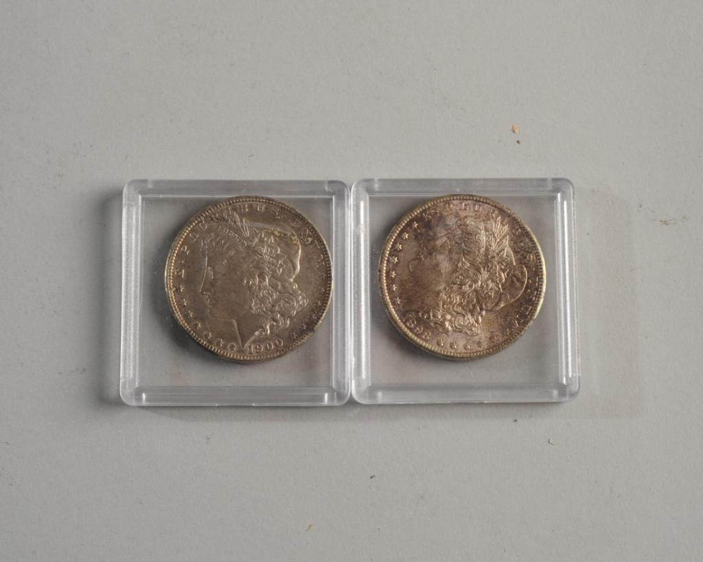 Two Morgan Silver Dollars (1 of 2)