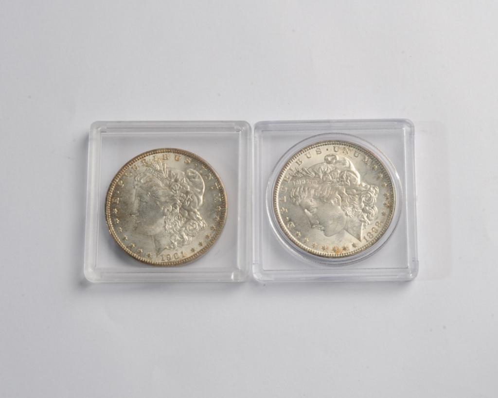 Two Morgan Silver Dollars (1 of 1)