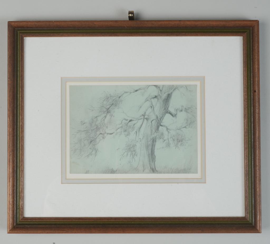 Framed Pencil Drawing of a Tree (1 of 2)