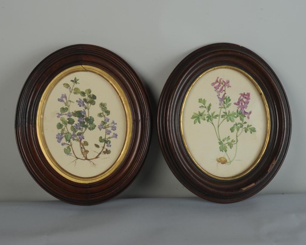 Pair Mid 19th C. Oval Walnut Frames (1 of 3)