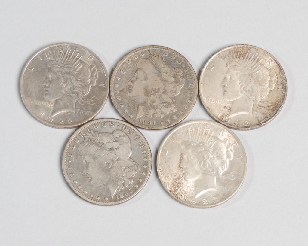 Mixed Coin Grouping Peace and Morgan Dollars (1 of 2)