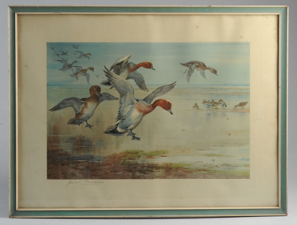 Archibald Thorburn 1927 Color Lithograph, Ducks (1 of 4)