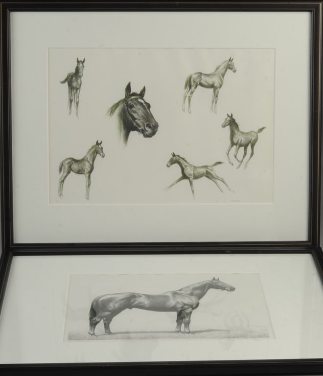 Two C.W. Anderson Equine Lithographs + (1 of 10)