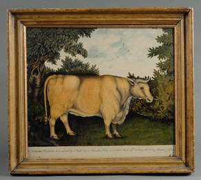 English School, Naive Livestock Portrait, Heifer