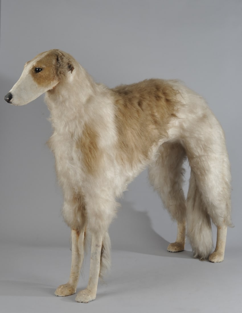 Life Size Borzoi (1 of 8)