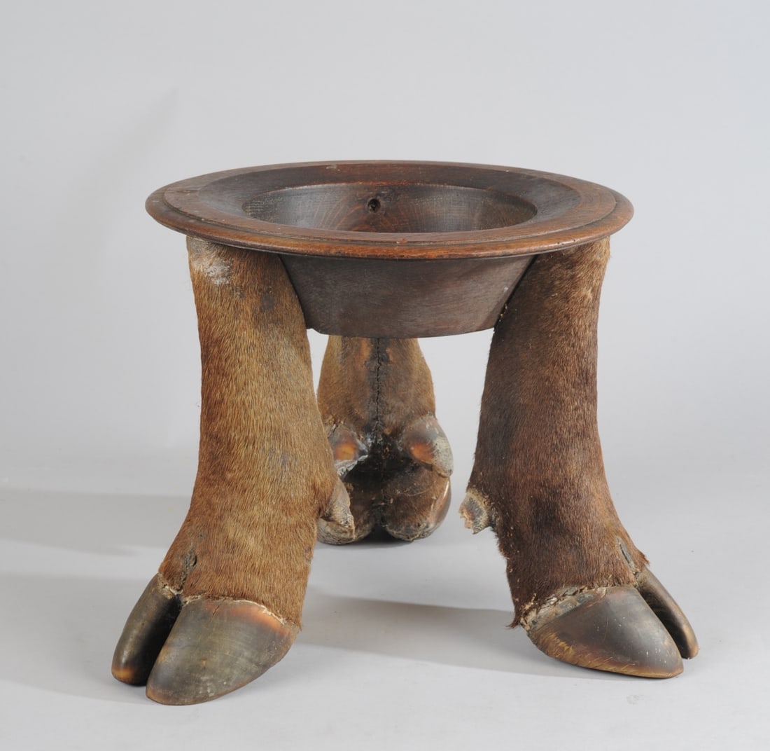 Antique Rowland Ward Buffalo Feet Plant Stand (1 of 8)