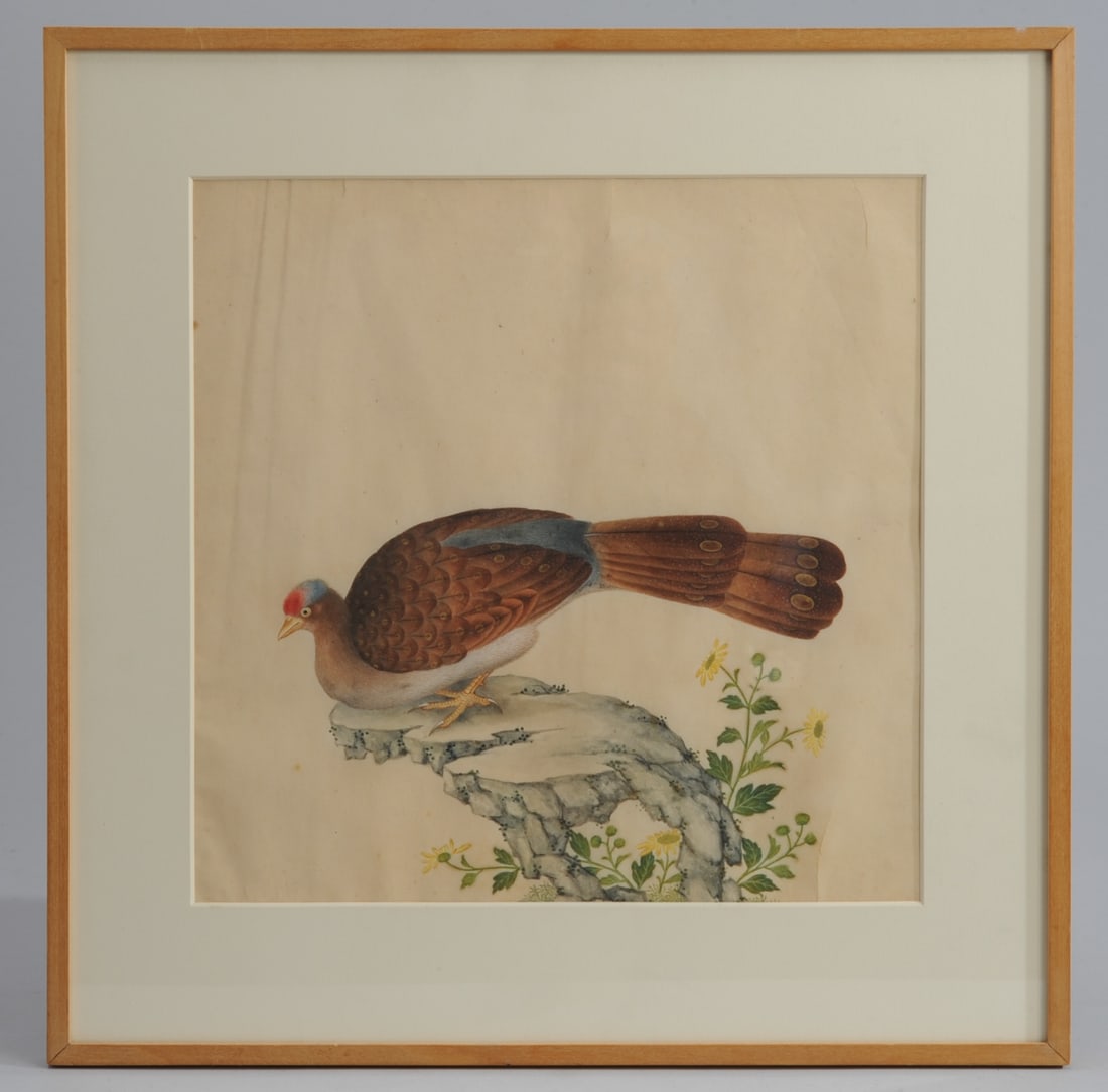 19th C. Chinese Export Painting of Bird (1 of 5)