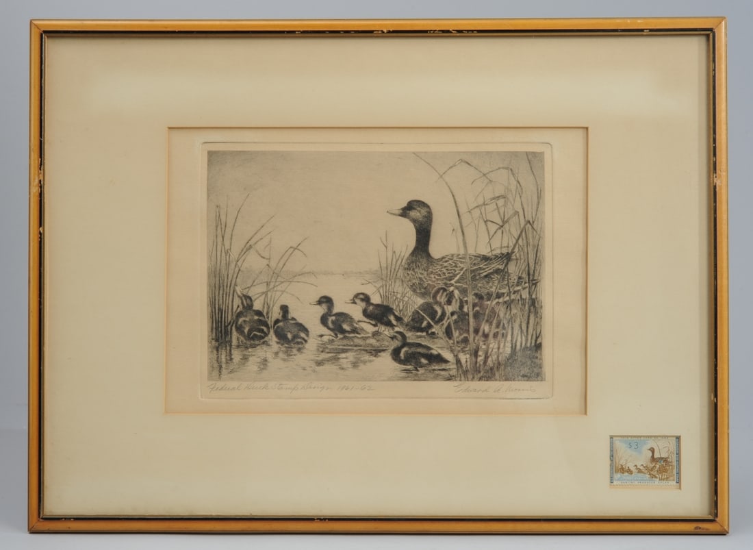 Edward A. Morris Federal Duck Stamp Design (1 of 5)