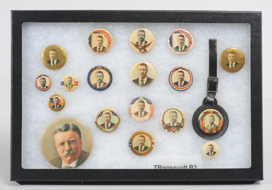 Theodore Roosevelt Button Grouping (1 of 8)
