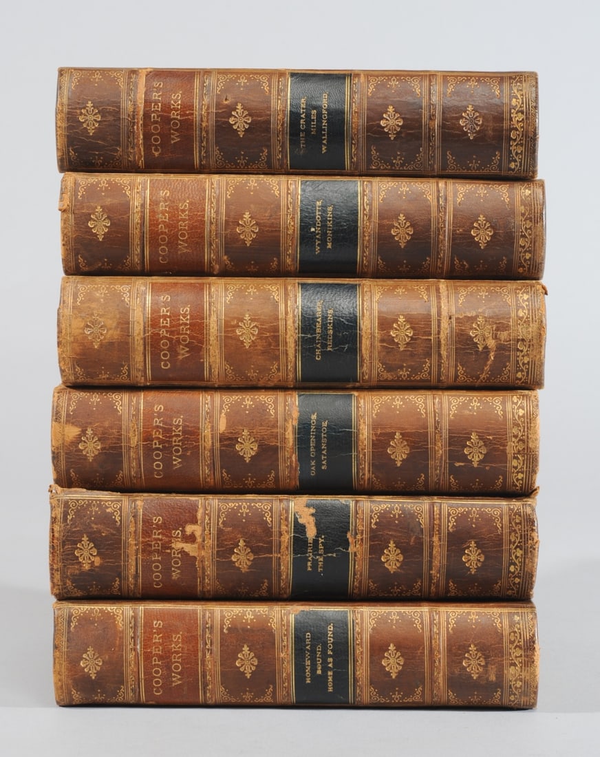 6 Vol. Works of James Fenimore Cooper (1 of 7)
