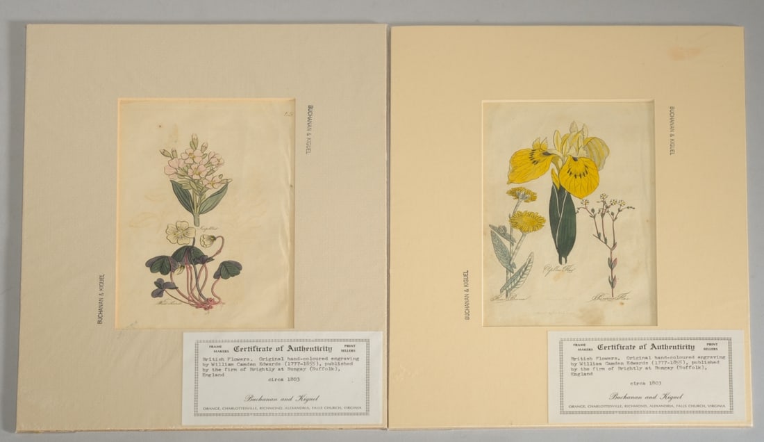 Pair of Antique Botanical Prints (1 of 3)