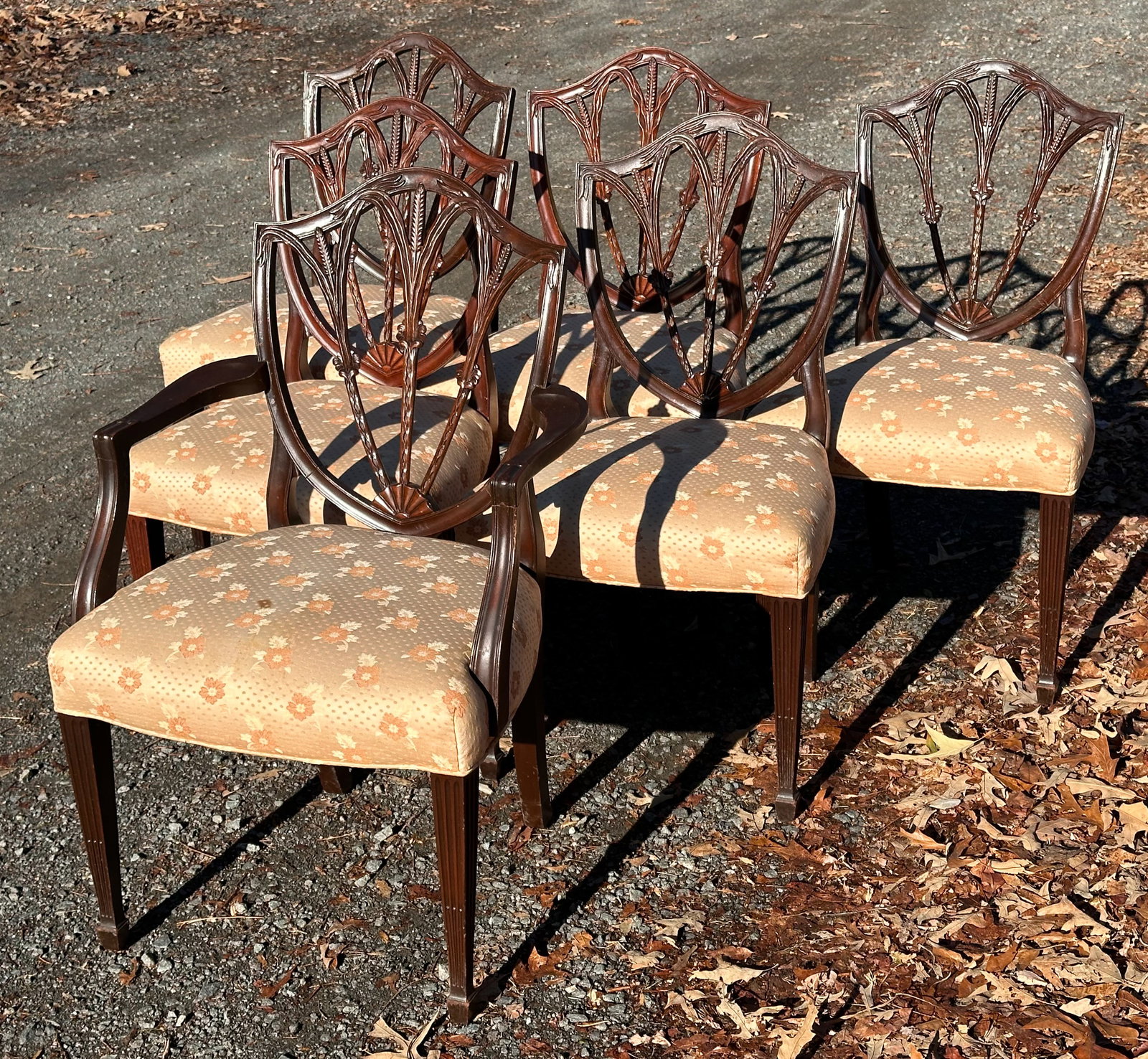 Six Shield Back Chairs: Five side chairs and one armchair. H: approx. 35".
