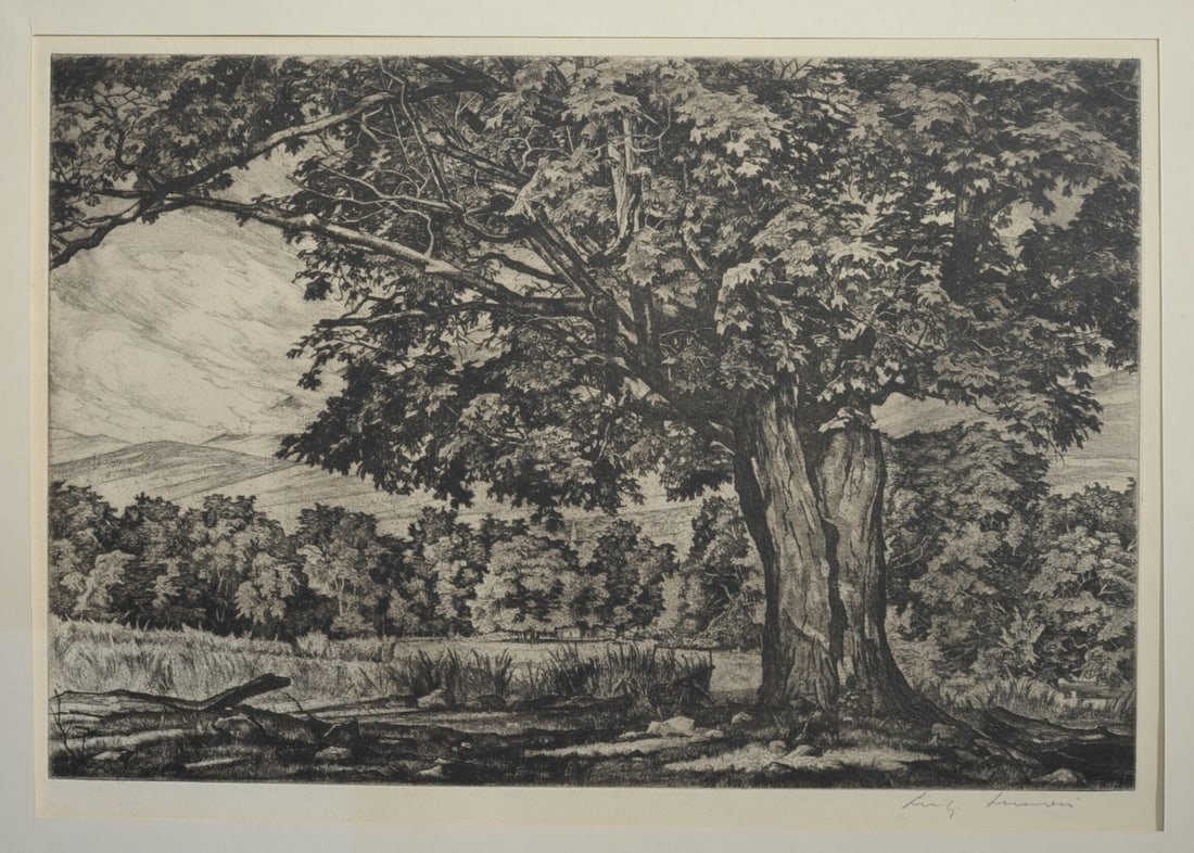 Luigi Lucioni "Spreading Maple" Etching (1 of 4)