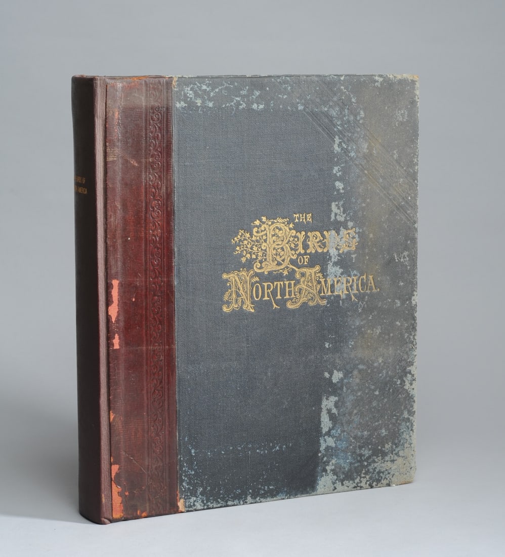 The Birds of North America 1903 by Jacob Studer: Featuring "One hundred and nineteen artistic colored plates representing the different species and varieties" published under the auspices of the Natural Science Association of America, 1903. Approx. 