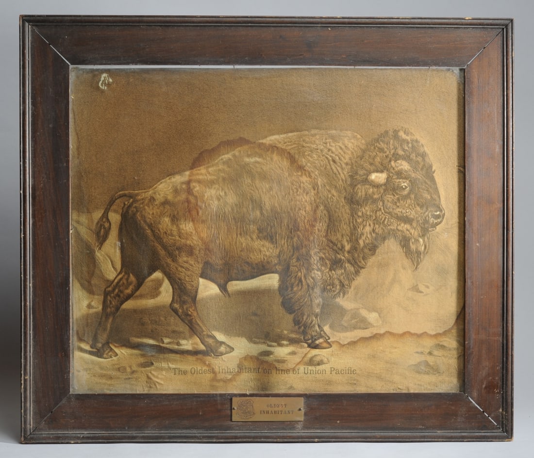 Union Pacific RR 'Oldest Inhabitant' Buffalo (1 of 11)