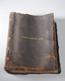 1920s "Photographs of 205 Thoroughbred Sires"