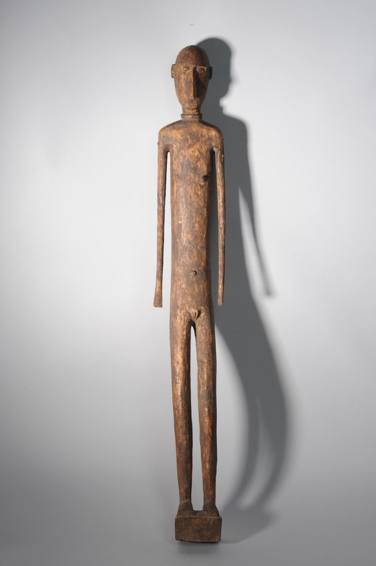 Female Ancestor Figure, Indonesia: Elongated carved hard wood figure of a young female, the face with deep set eyes and long nose, with pronounced bump to back of head. The body stands with slender arms held slightly away from the body
