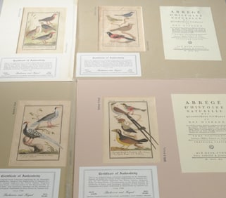 4 L 18th C. Hand Colored Ornithological Engravings