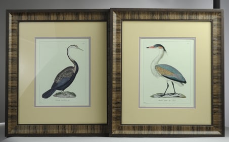 Pair of Framed Ornithological Prints