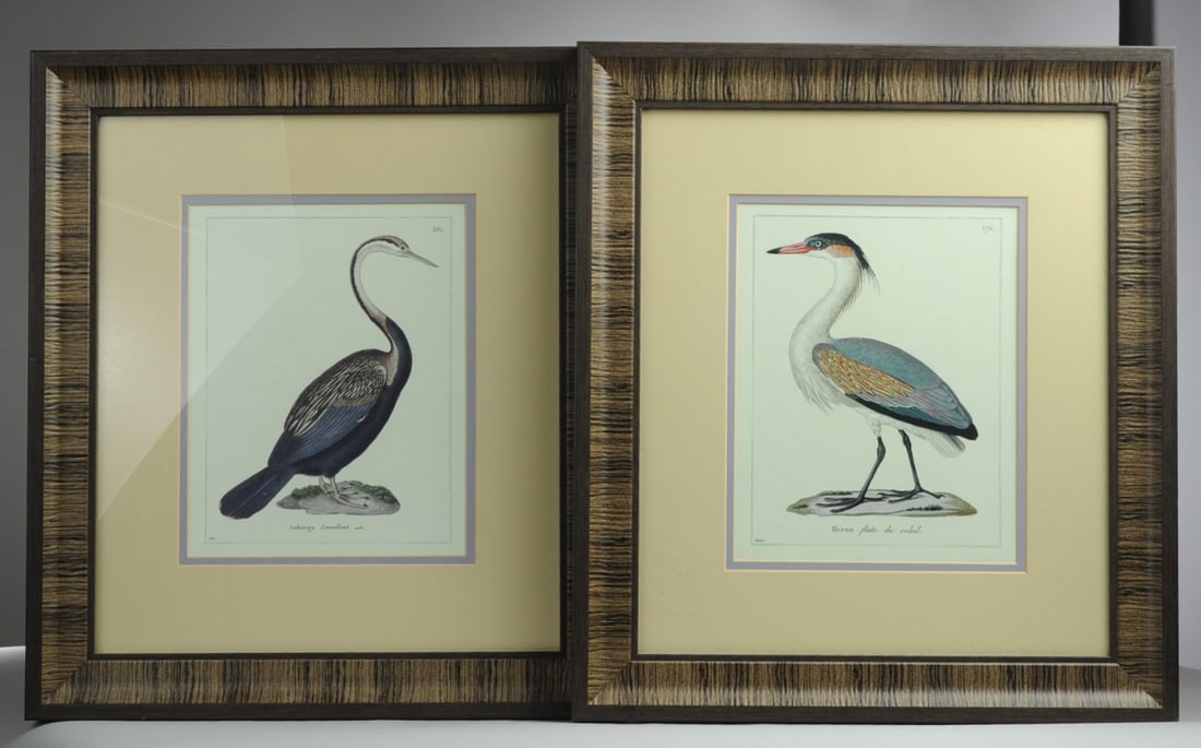 Pair of Framed Ornithological Prints (1 of 3)