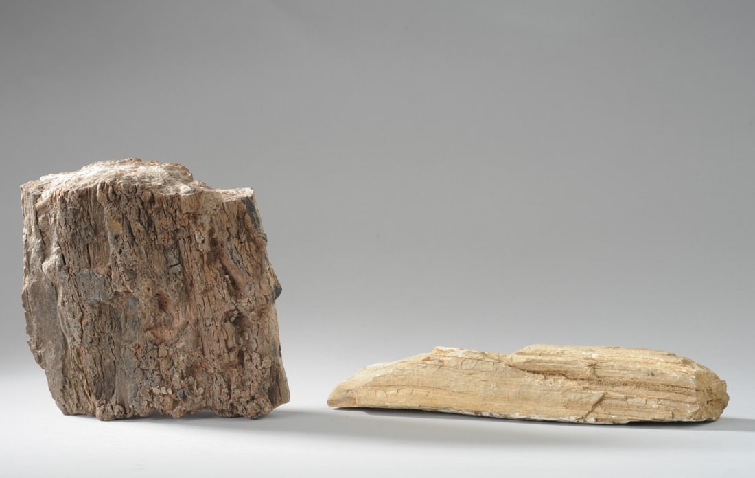 Two pcs. Petrified Wood / Fossils: One approx. 7 3/4" x 1 1/2" x 1 1/2", the other approx. 5" x 5" x 2 1/2". Seamless shipping is available through LiveAuctioneers at checkout, but you are welcome to arrange your own shipping if you pr