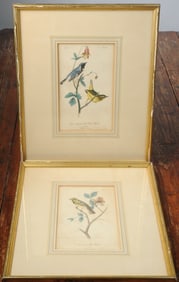 Pair c.1840 Audubon Warbler Lithographs