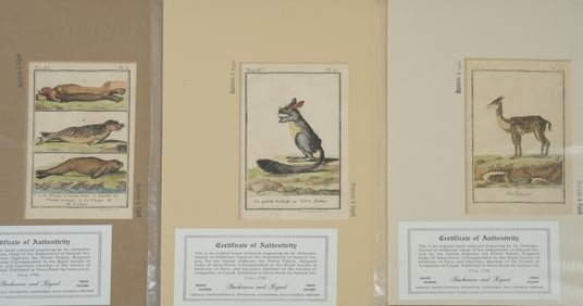 Three 18th C. Zoological Prints