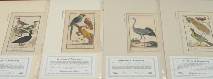Four 18th C. Ornithological Prints