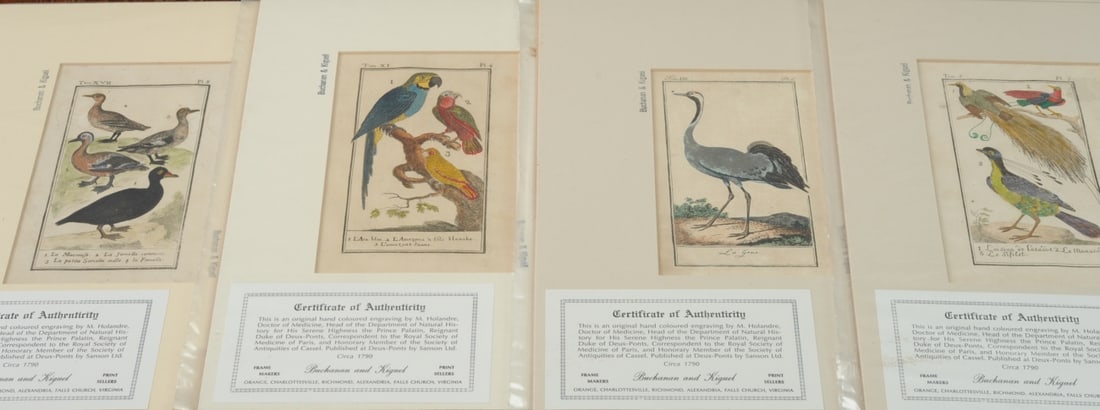 Four 18th C. Ornithological Prints (1 of 5)