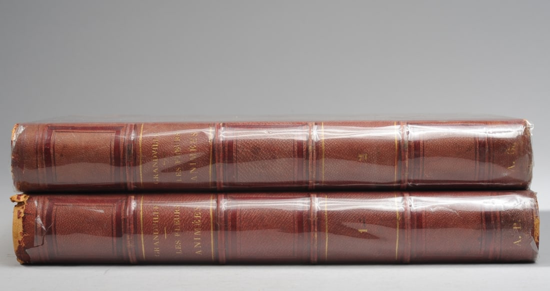 Grandville, Les Fleurs Animees, 1867 2 Volumes (1 of 8)