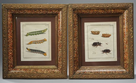 August Johann Rosel von Rosenhof (1705-1759)