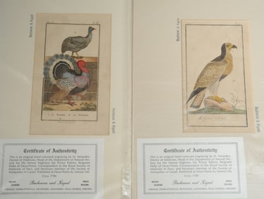 2 18th C French Hand Colored Ornithological Prints