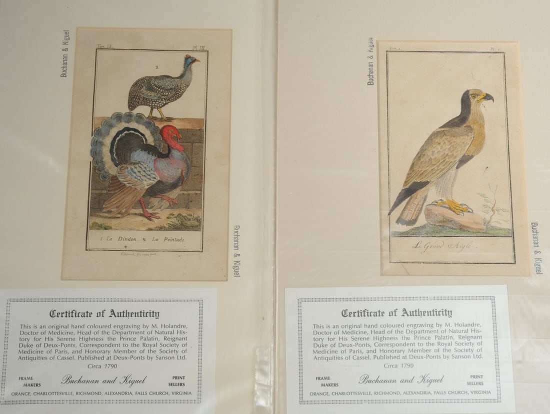 2 18th C French Hand Colored Ornithological Prints (1 of 5)