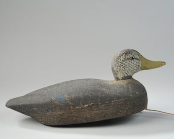 Factory Made Black Duck Decoy