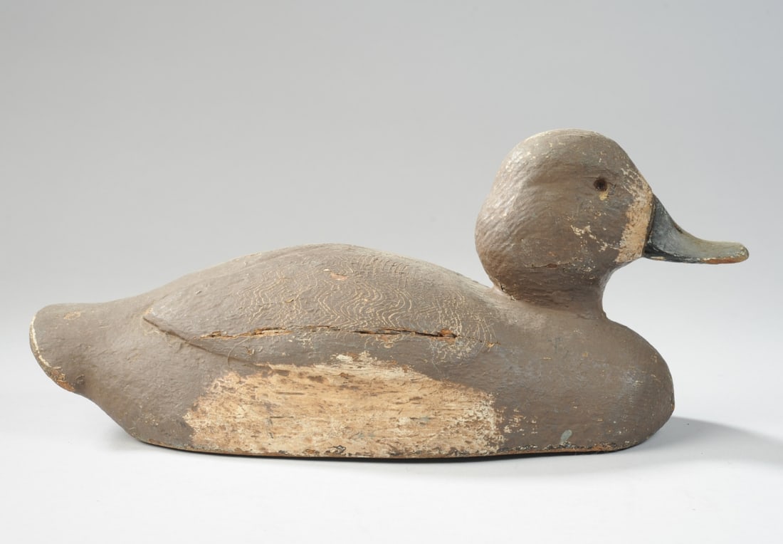 Ring Neck Hen Duck Decoy (1 of 8)
