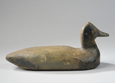 Blue Bill Duck Decoy