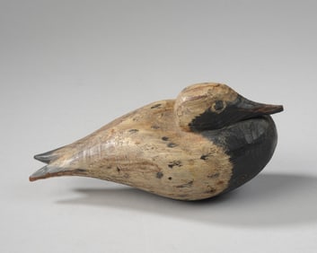 Sleeping Black Bellied Plover Decoy