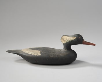 Hooded Madagascar Drake Decoy