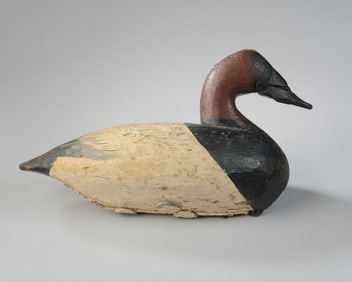 Canvas Back Decoy