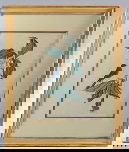 Mark Catesby (1682-1749) Engraving, Blew Linnet: Hand-colored 18th C. engraving on chain-lined laid paper showing "The Blew Linnet" . From "The Natural History of Carolina, Florida, and the Bahama Islands", first pub.1743. This print probably from