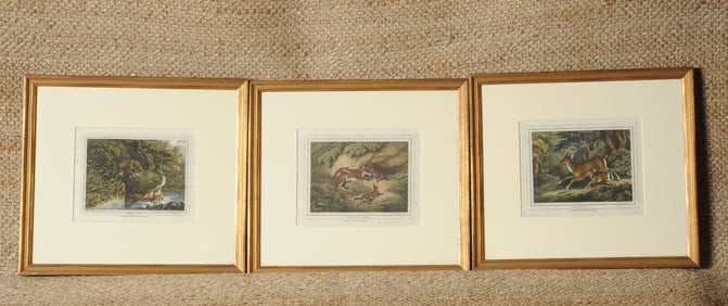 Three 1812 Engravings After Samuel Howitt