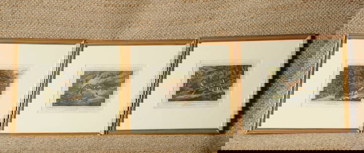 Three 1812 Engravings After Samuel Howitt: Hand-colored engravings by Edward Orme (1775-1848) after Samuel Howitt (1756-1822.) From "The British Sportsman" by Samuel Howitt, London, published by Edward Orme, Bond Street. First print