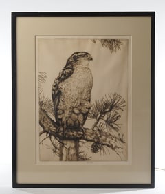 H. E. Tuttle Signed Etching, Hawk
