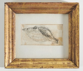 Pen and Ink Shell Study, signed "Ordway"